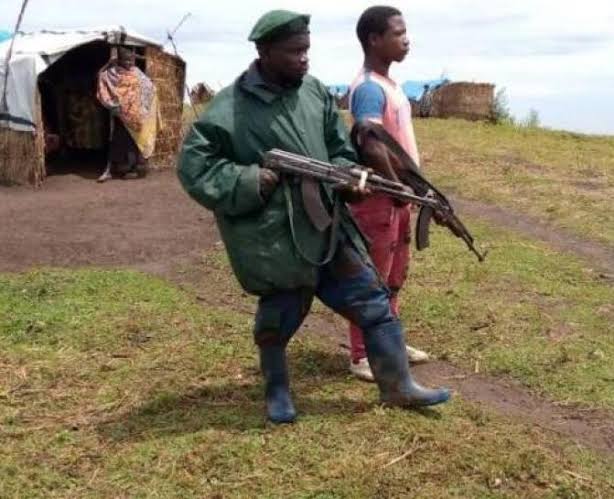 Nord-Kivu : « 75% du territoire de Lubero sont occupés par des groupes armés » (société civile)