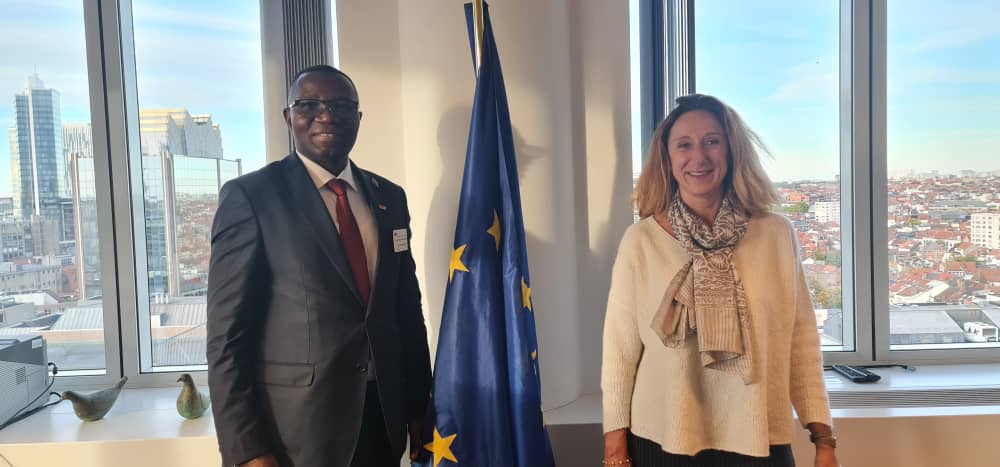 Bruxelles : L’Union Européenne promet appuyer la RDC dans la mise en œuvre du projet des batteries électriques
