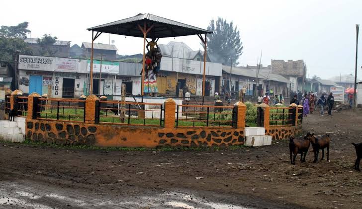 Nord-Kivu : « La prise de Kitshanga par le M23 est un coup dur pour la ville de Goma » (société civile)