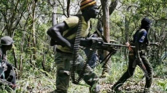 Beni : 20 terroristes ADF neutralisés dans le secteur de Ruwenzori (Armée)