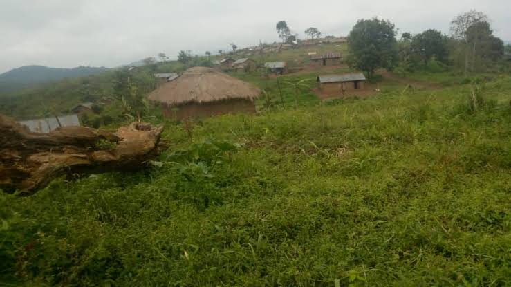 Rutshuru : 5 personnes enlevées par des hommes armés en chefferie des Bwisha
