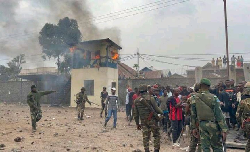 Goma : Manifestation des « Wazalendo », la société civile déplore le manque de professionnalisme de l’armée et de la police