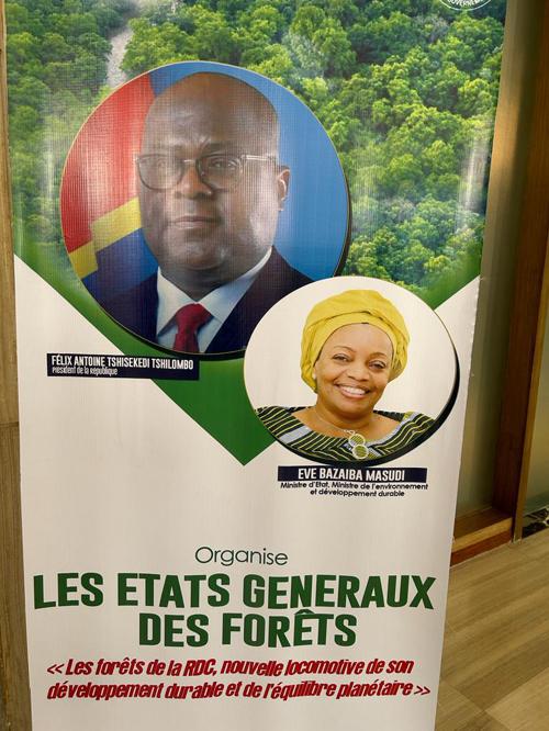 RDC : Kinshasa abrite les états généraux des forêts congolaises