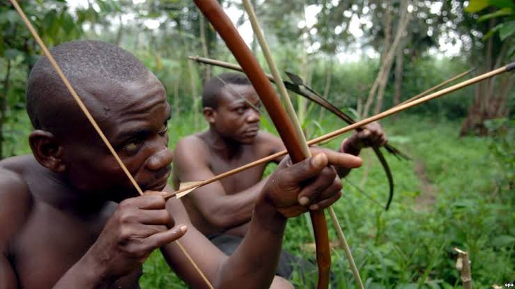 Ituri : Deux pygmées arrêtés pour tentative de meurtre sur des agriculteurs de cacao à Mahu