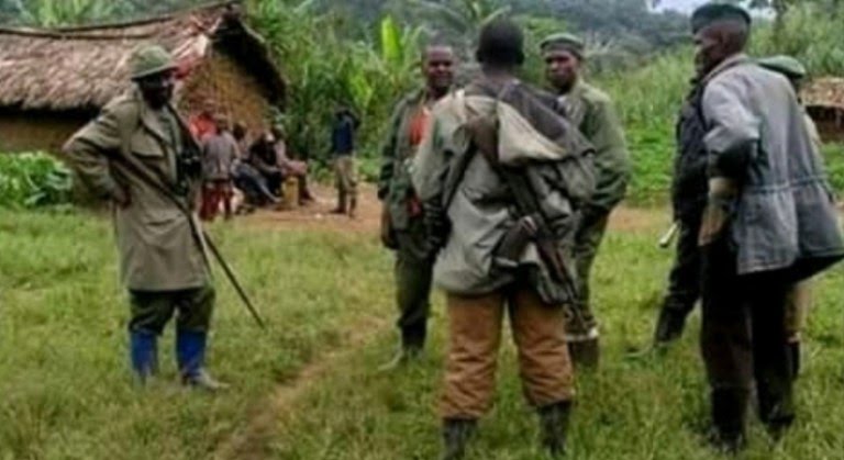 Ituri : Deux factions de la milice FPIC s’affrontent en chefferie des Babelebe