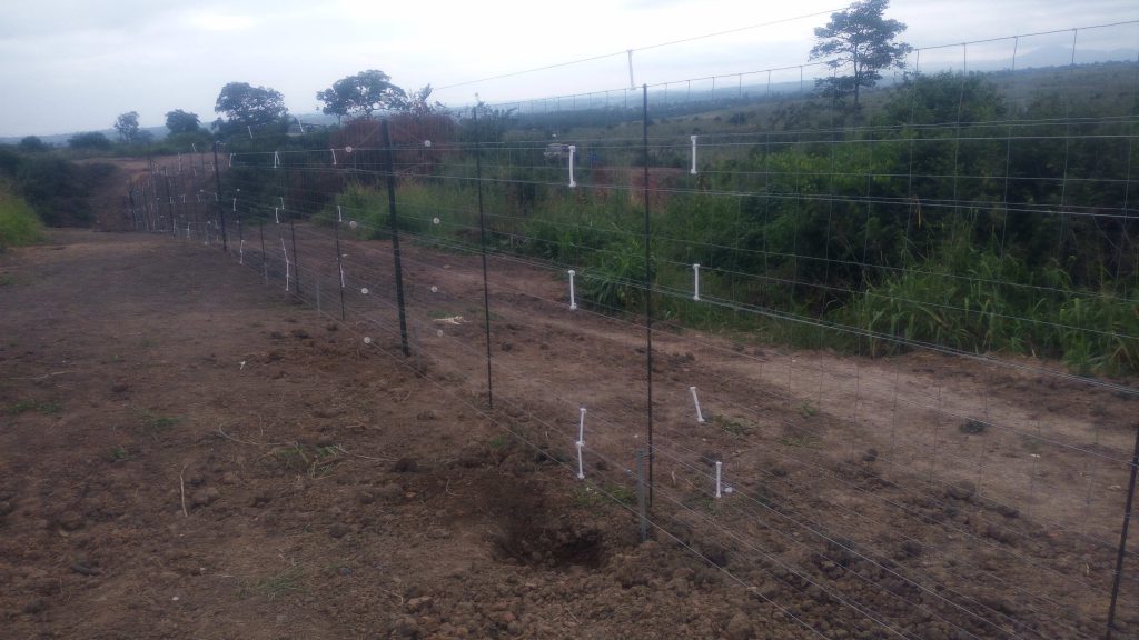 Rutshuru : La population de Nyamilima accusée de détruire la clôture électrique de l’ICCN
