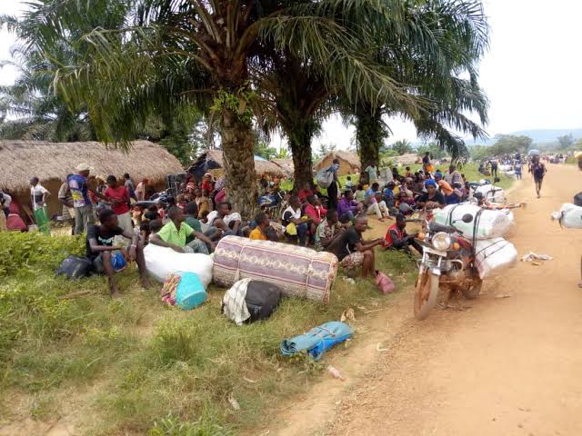 Nord-Kivu : Guerre du M23, plus de 10 mille ménages de déplacés affluent à Kanyabayonga