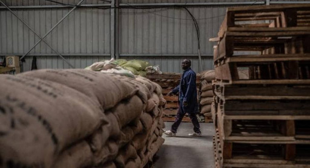 Nord-Kivu : Plus de 400 sacs de cacao saisis par l’ONAPAC remis à la justice