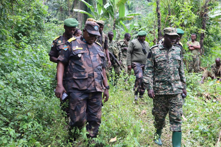 Nord-Kivu : 5 combattants ADF tués et un autre capturé par la coalition FARDC-UPDF à Beni