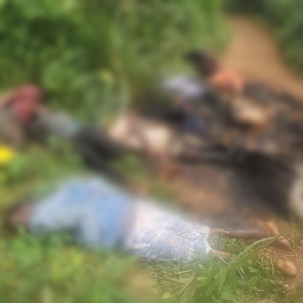 Nord-Kivu : Massacres de 41 civils à Beni par les ADF, le Gouvernement congolais promet sa revanche
