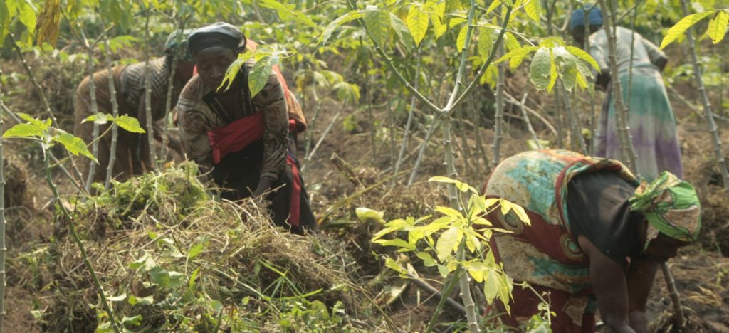 Nord-Kivu : La LOFEPACO déplore les méfaits de l’insécurité sur les activités de la femme rurale